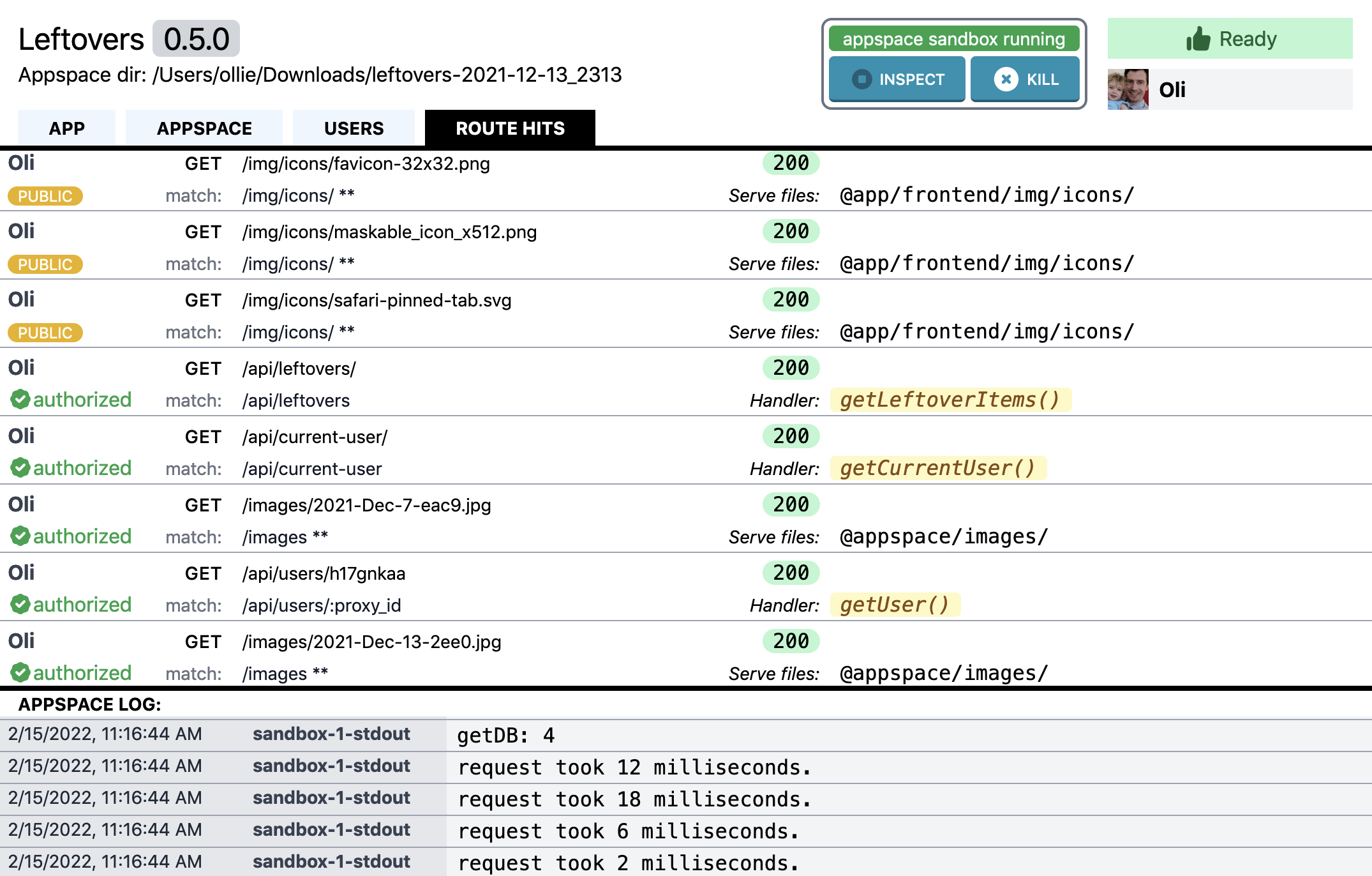 ds-dev route hits tab